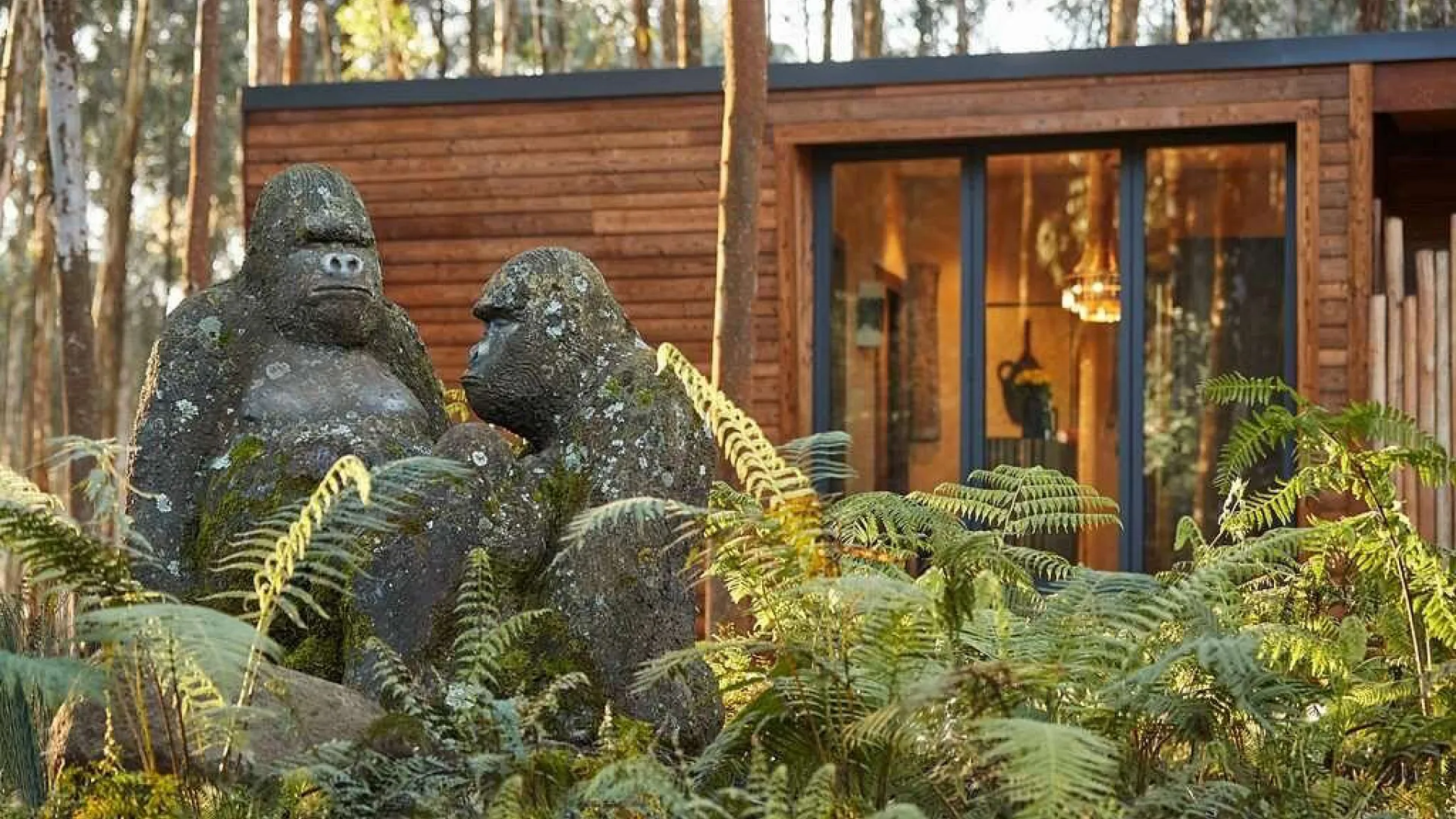 One&only gorilla’s nest